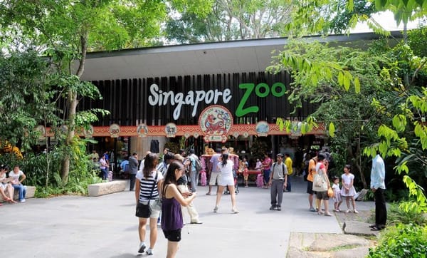 Into the Night: Ahmad’s Untamed Singapore Night Safari with Thrillophilia