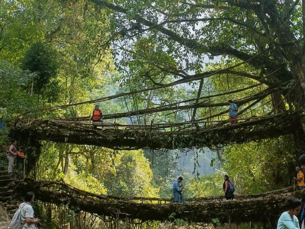 Smita’s Beautiful Meghalaya Trip with Thrillophilia