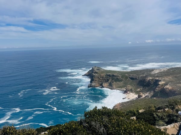 Vibha Patel’s 10-Day African Wilderness and Coastal Adventure with Thrillophilia